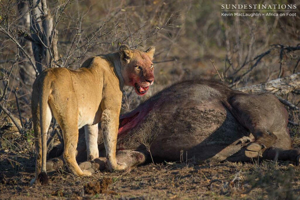 Lip-smacking goodness Lip-smacking goodness