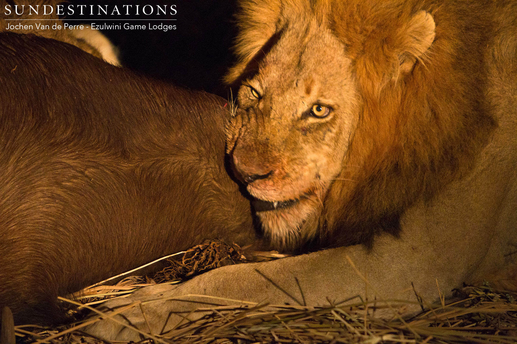 Mohlabetsi Lions Mohlabetsi Lions