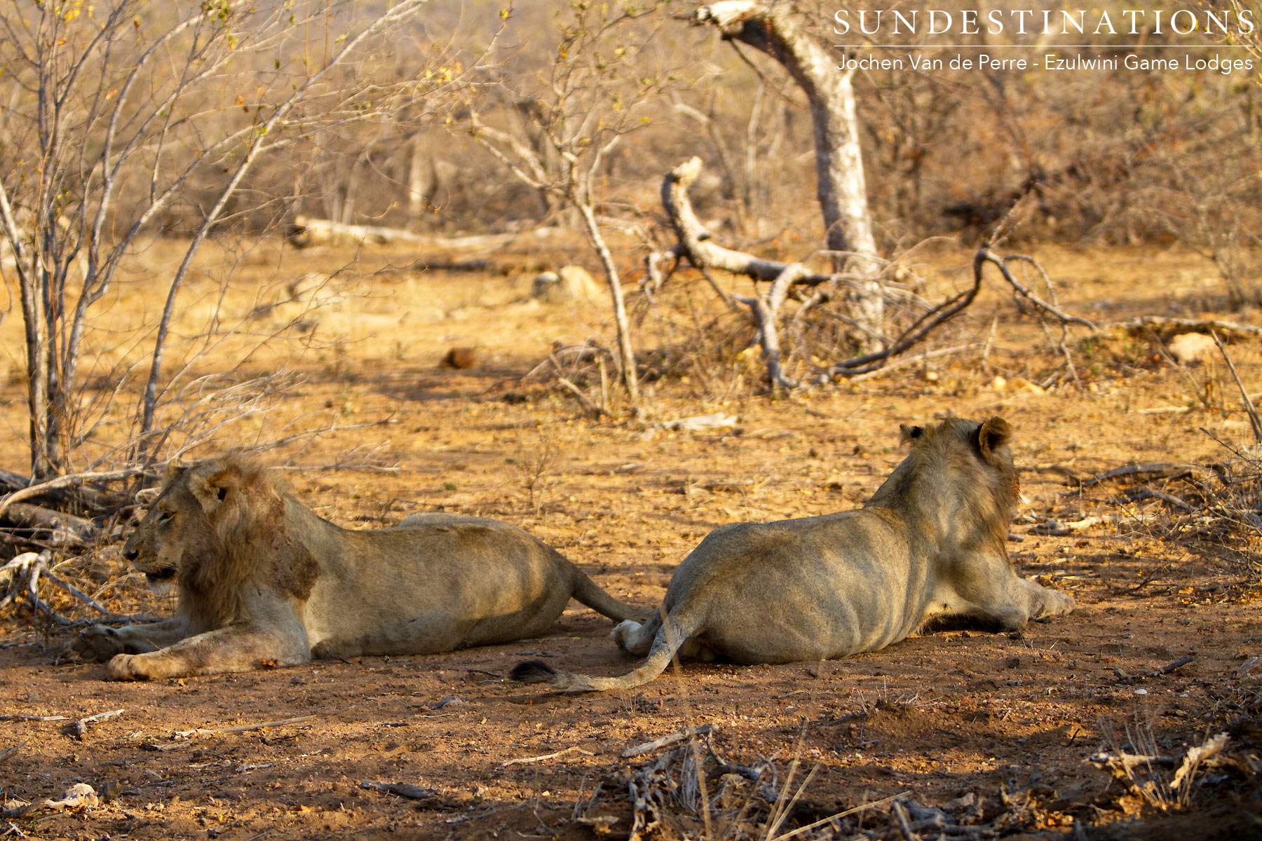 Mohlabetsi Males Mohlabetsi Males