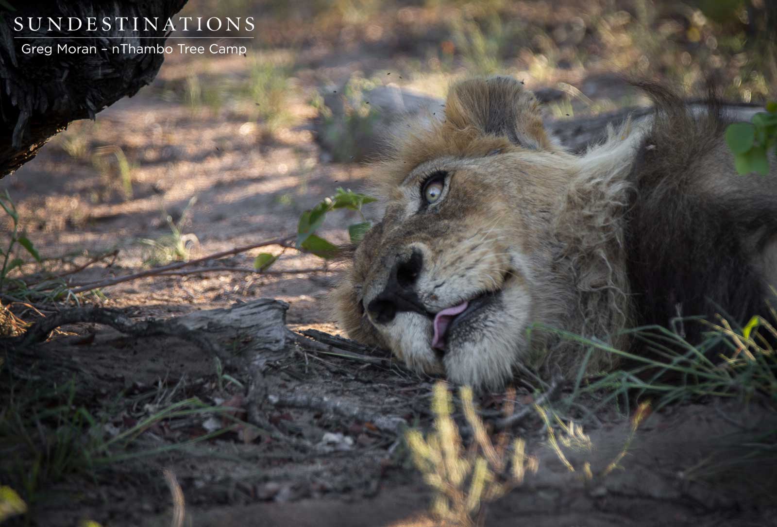 Duma and Mabande nThambo Duma and Mabande nThambo