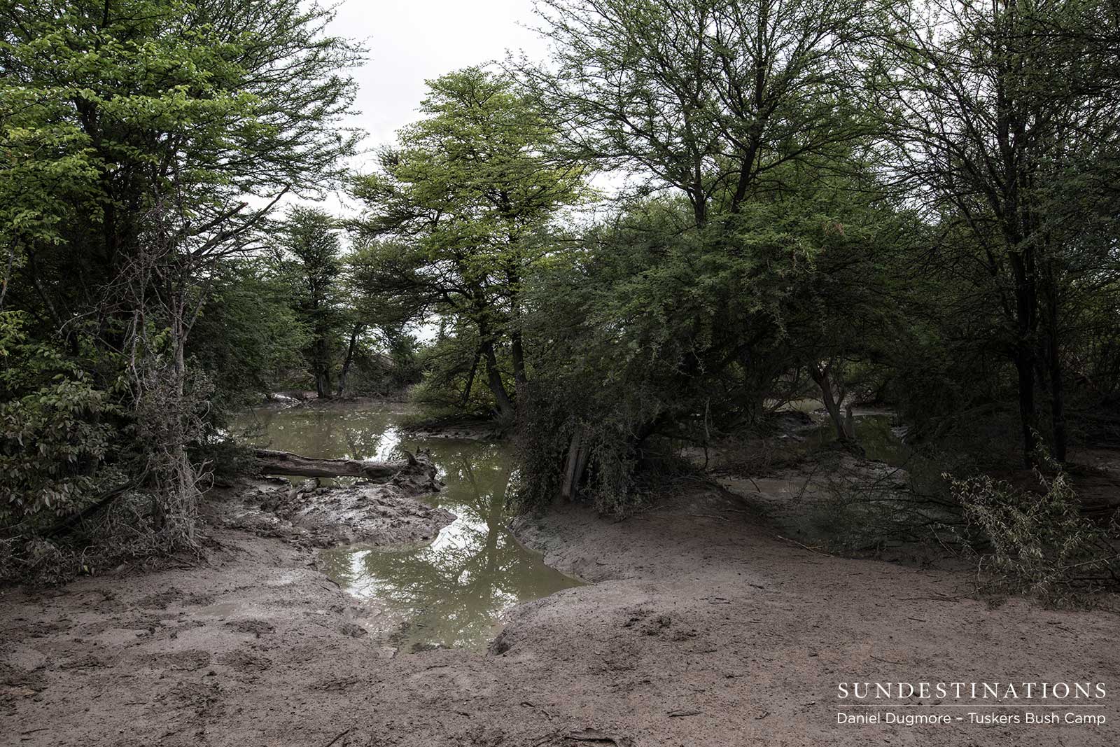Little Nxai Pan Picnic Spot Little Nxai Pan Picnic Spot
