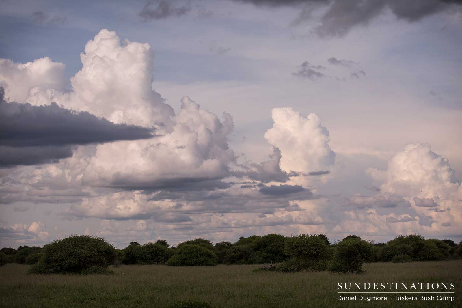 Little Nxai Pan Landscape Little Nxai Pan Landscape