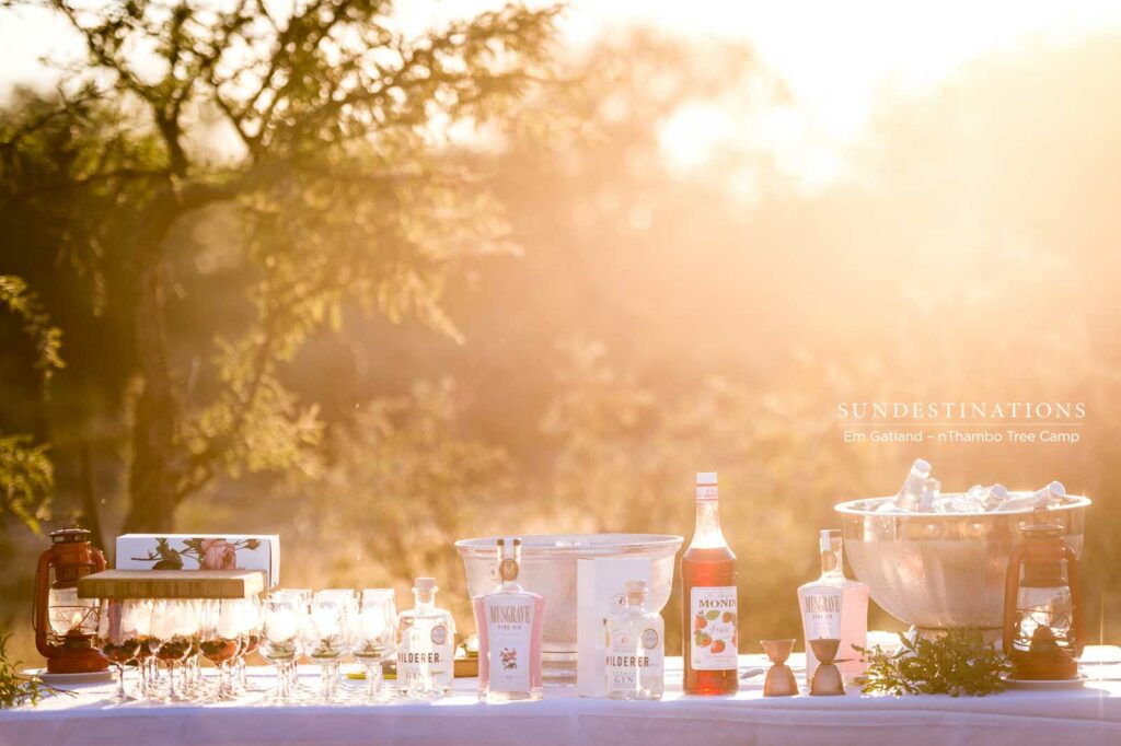 Gin Tasting on Safari in Klaserie Gin Tasting on Safari in Klaserie