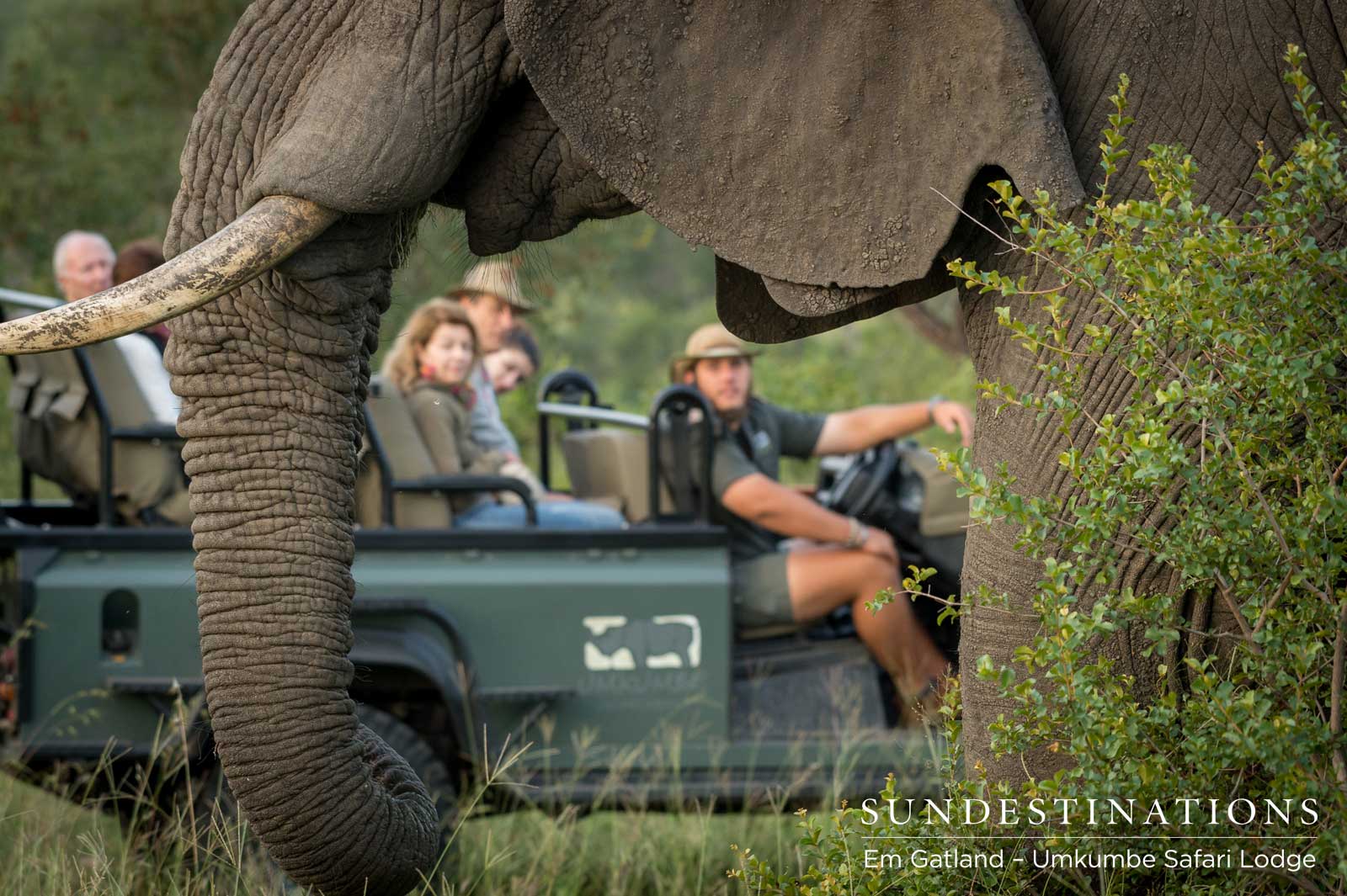 Elephant Encounter Umkumbe Elephant Encounter Umkumbe