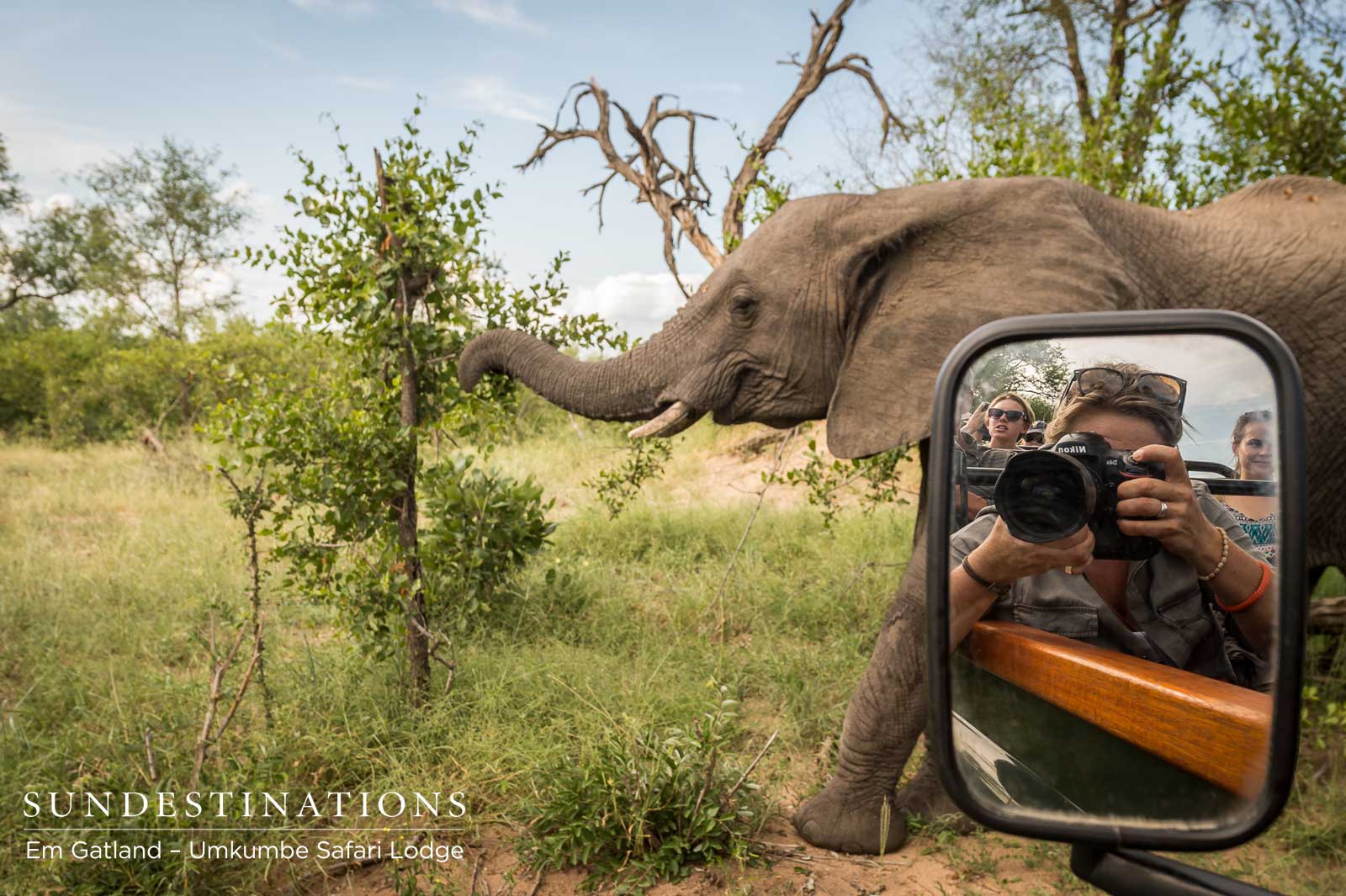 Em Gatland with Elephants Em Gatland with Elephants