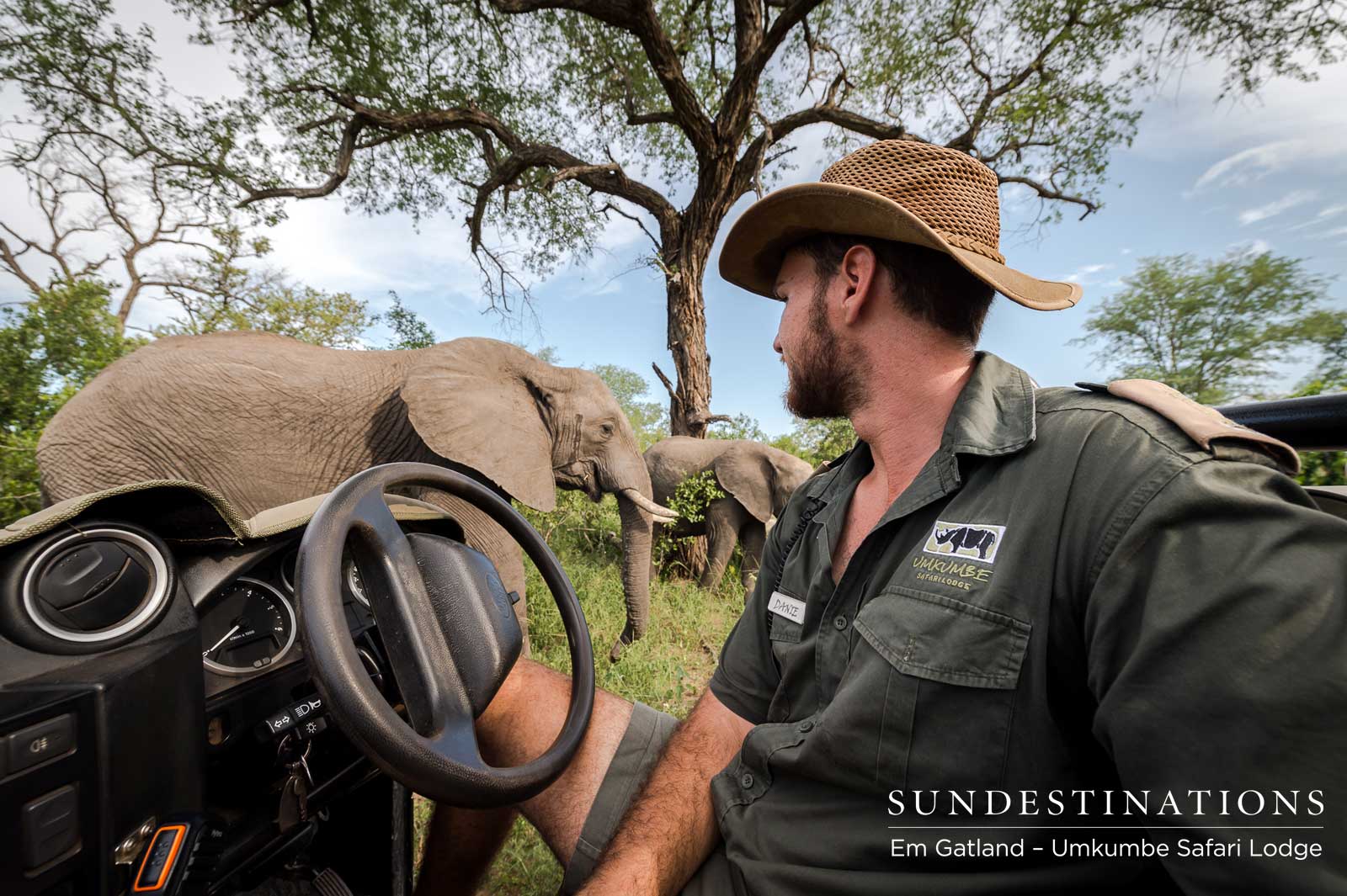 Game Viewer - Elephants Game Viewer - Elephants