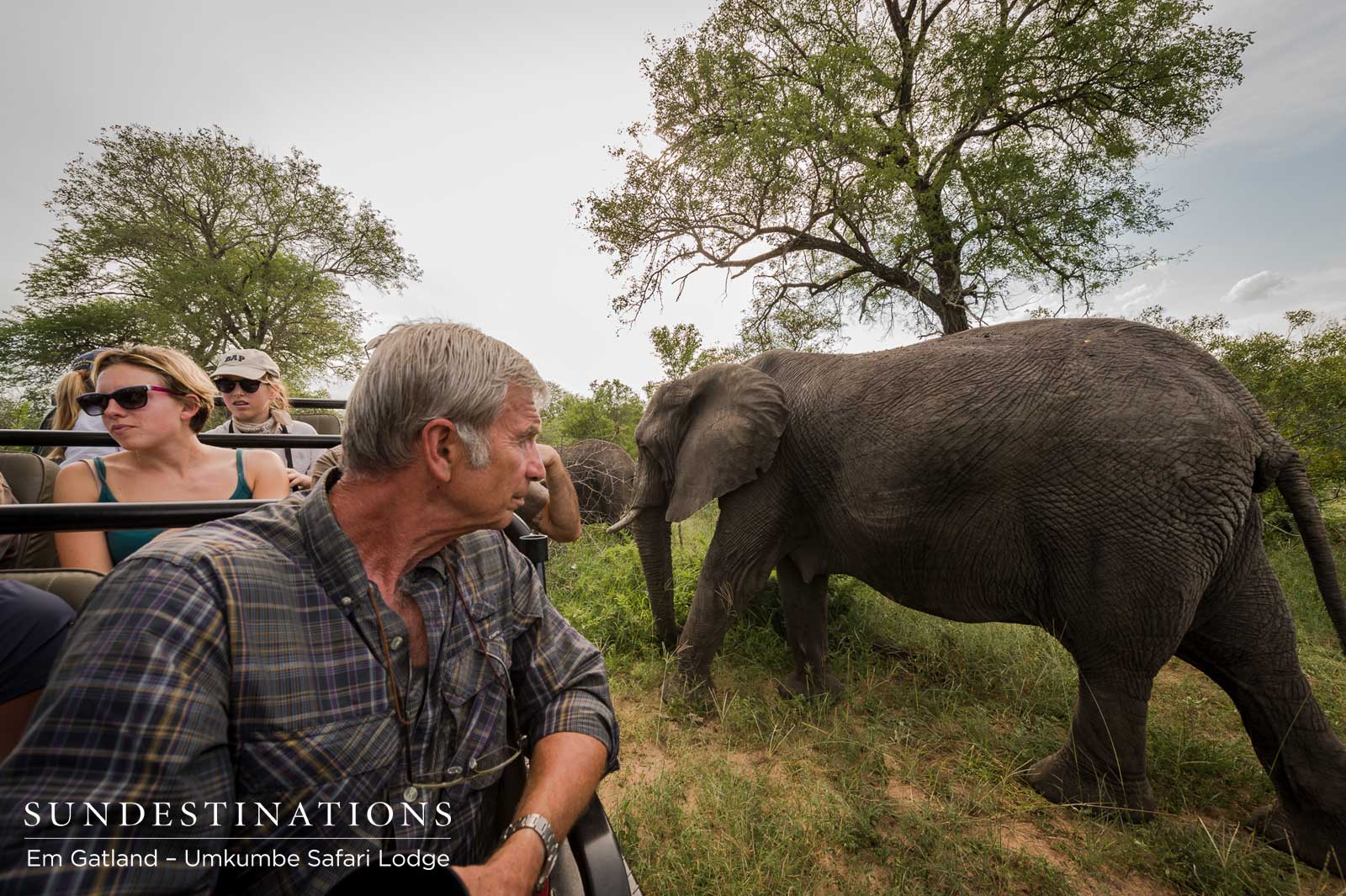 Guests with Elephants Umkumbe Guests with Elephants Umkumbe