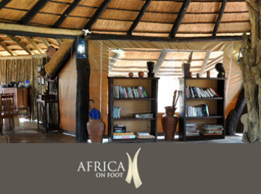 Africa on Foot is a rustic, traditional bush camp located in the Klaserie area of the Kruger Park. As the name suggests the camp is unique for offering proper walking safaris. On a walking safari guests will be led by experienced and professional game rangers through a wildlife area rich in game including lion, leopard, […]