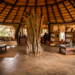 Lounge Area at Africa on Foot