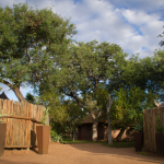 Entrance to Africa on Foot