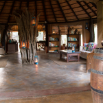 Library and Lounge at Africa on Foot