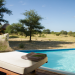 Lodge Pool with Treehouse in Background