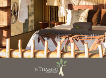 nThambo Tree Camp is an eco-friendly safari camp located in the Klaserie area of the Kruger Park. The camp is small and intimate and sleeps a maximum of 10 guests in five chalets raised up on wooden stilts. The camp offers morning and afternoon/night game drives, as well as bush walks after breakfast. All activities […]