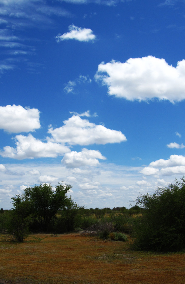 Botswana Sky in Central Kalahari