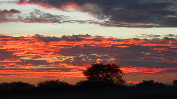 The sunset over the Kalahari