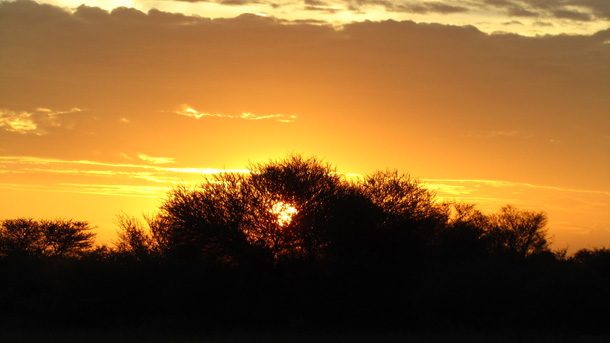 Golden Sunset over the Kalahari