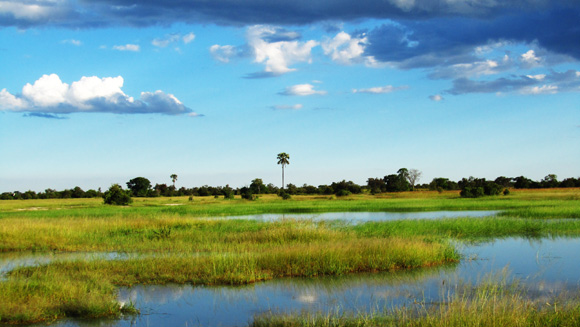 The Endless Botswana Sky