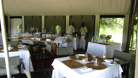 Dining at the elegant Camp Machaba
