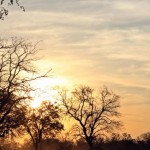 Okavango Delta Sunset