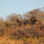 Ghoha Hills Savuti Lodge