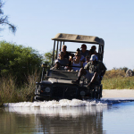 Mapula Game Drive Okavango