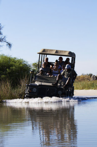 Mapula Game Drive Okavango