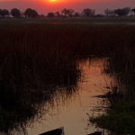 Sunset Mokoro Delta Trips