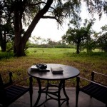 Patio View from Tent