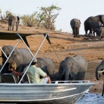 Chobe Activities