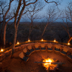 Safari Dining Area