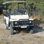 Game Drives in the Moremi's Okavango Delta