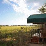 Tented Accommodation at Sango - Botswana's Delta