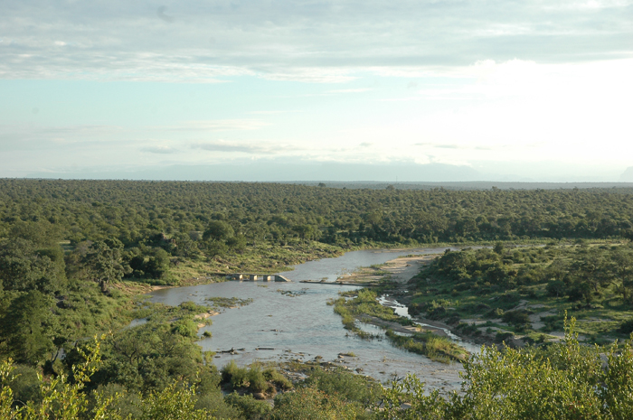 nDzuti views over the Klaserie River