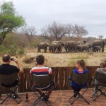 Watching elephants at the nDzuti waterhole