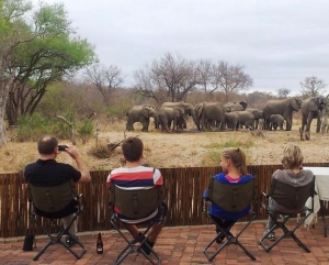 Watching elephants at the nDzuti waterhole