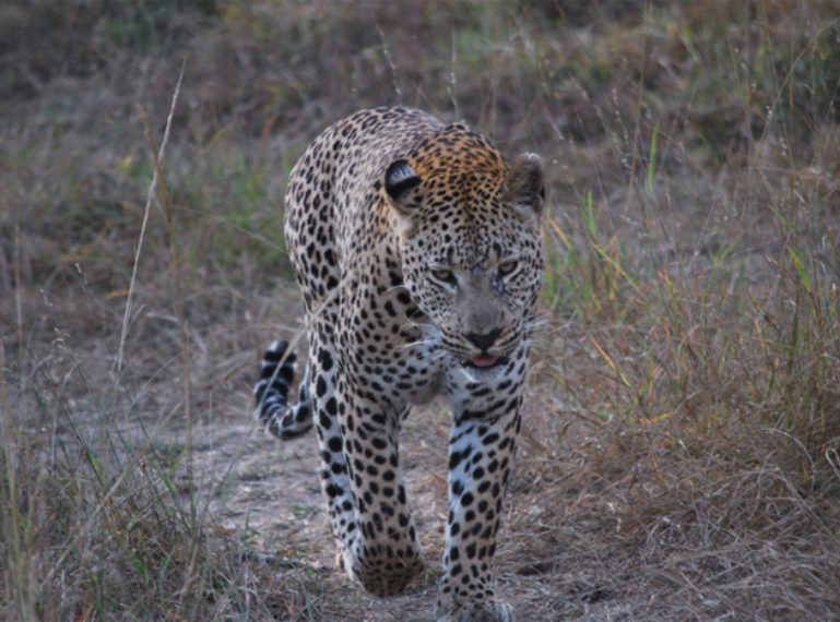 Guest Blog: Mike and Fiona Arrive at Umkumbe Safari Lodge