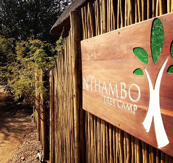 Welcome to nThambo Tree Camp. 