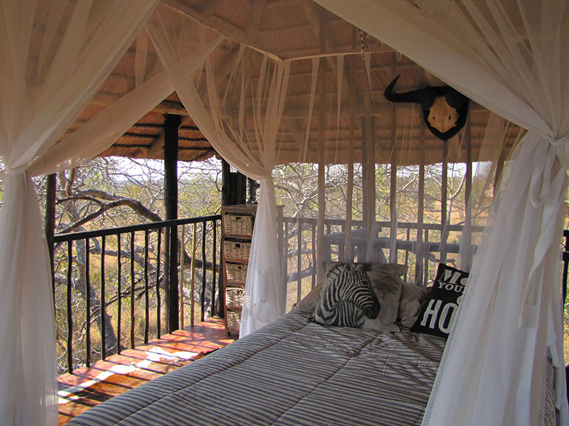 Tree house accommodation at Africa on Foot