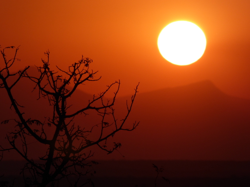 The setting sun on Kruger.