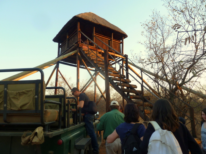 The game-viewing tower is visited for sunset once a week, equipped with eats and drinks and of course, cameras.