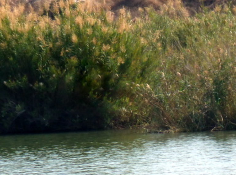 Cruising down the Olifants River with Nokana Safari Camp