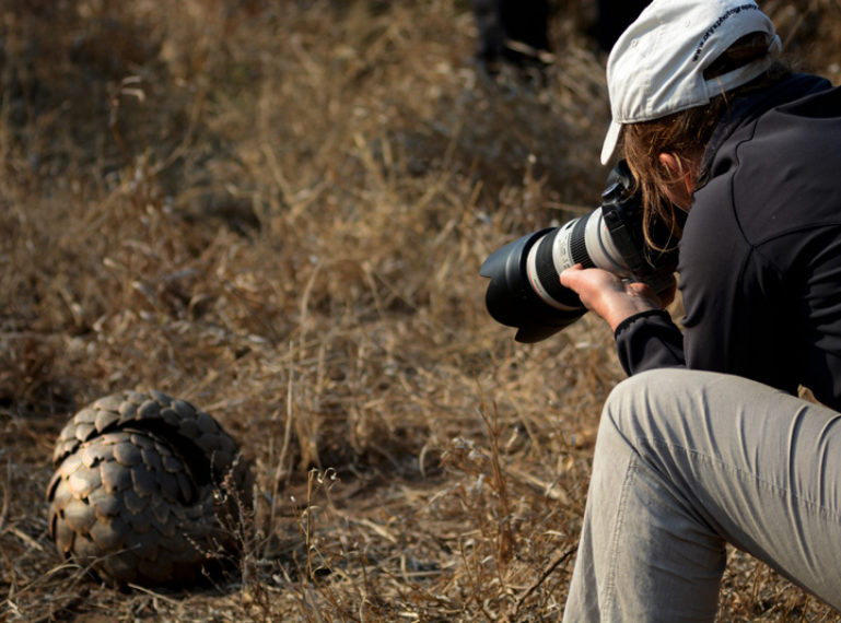 The Week in Pictures: The Ross Pride and a Pangolin