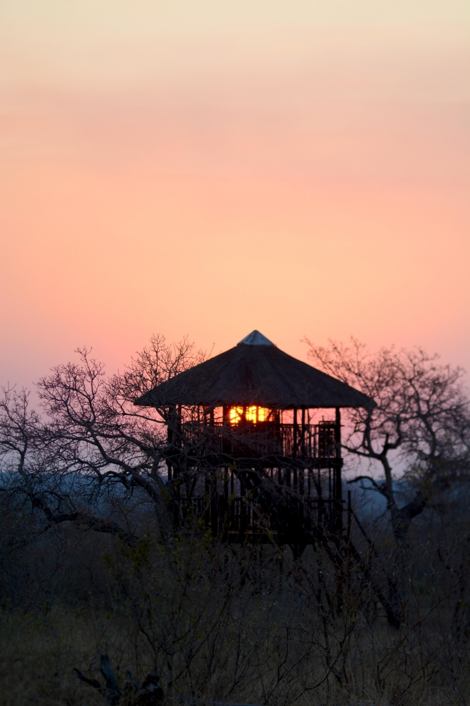 The Treehouse at Africa on Foot