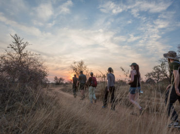 Blogger Carolynne Higgins has had a lot of experience in the Klaserie Private Nature Reserve and has called Africa on Foot her ‘home in the bush’. Many people have said similar things about this quiet, private bush camp, so Carolynne summed up what she thought the appeal of this particular reserve is, and why she […]