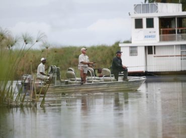 A water-based safari adds an element of exhilaration, a combination of habitats, and a different experience of the senses. With such generous offerings of these wet wonderlands in Southern Africa, there is a stellar variety of methods by which to experience the wild. Possibly the most decadent of all boating safaris is the houseboat. The […]