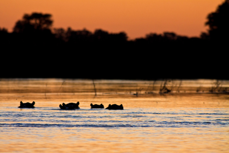 Ngwesi_Okavango_067