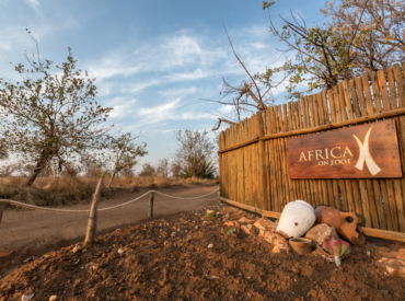   Africa on Foot is our little gem in the Klaserie Private Nature Reserve, taking giant steps in the world of walking safaris and eco-friendly fun among the Big 5. Located in this private Greater Kruger reserve, the experience enjoyed by guests is exclusive and personal, and it is ideal for a family getaway. There […]