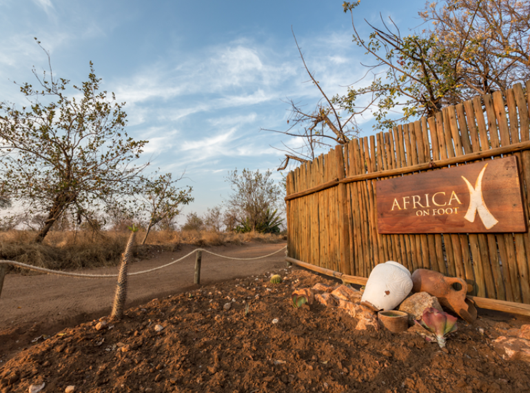 Family Safari at Africa on Foot: The Video