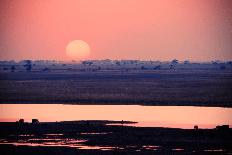 Linyanti marsh sunset