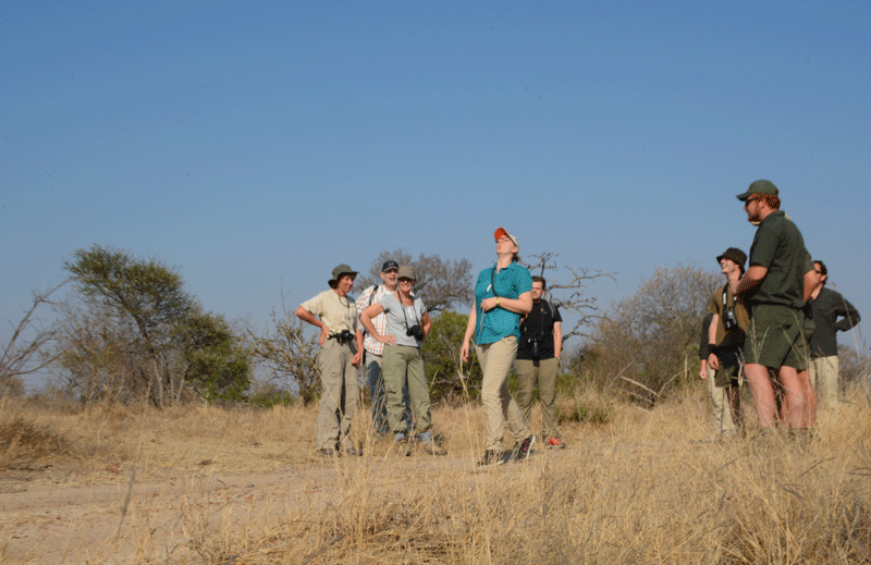 Safari veterans know it well, a popular game on walking safaris at Africa on Foot and elsewhere: Spoeg (meaning 'spit' in Afrikaans) requires guests line up and hurl a pellet of dry antelope dung as far as they can...using their mouths! It's not for everyone, but it's 'just to say you did it'.
